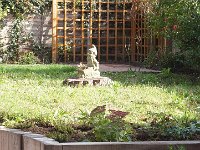 A new addition to the meadow; the old cherry tree stump.