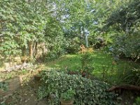 One very overgrown garden