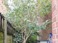 Along the side of the house towards the back