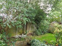 The left hand side of the garden