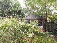 A sad sight. Our forsythia bush had snapped after all the rain we had.