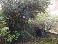 Outside the conservatory.