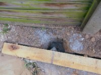 RPW 20140624 1620 038