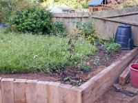 Plants going into the front bed.